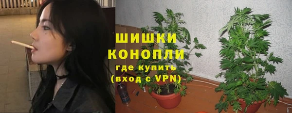ГАЛЛЮЦИНОГЕННЫЕ ГРИБЫ Костерёво