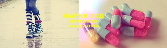 apvp Корсаков